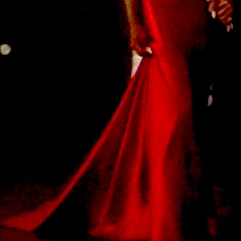 Beautiful long silk dress